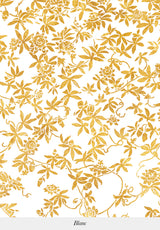 L'Intemporelle | Passiflores