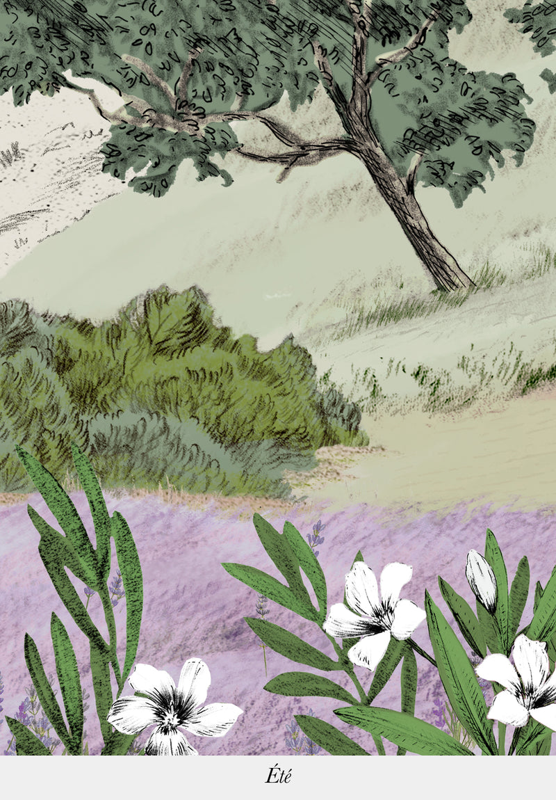 Provence Color Bespoke