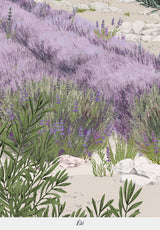 Provence Coloreado