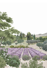 Provence Color Bespoke