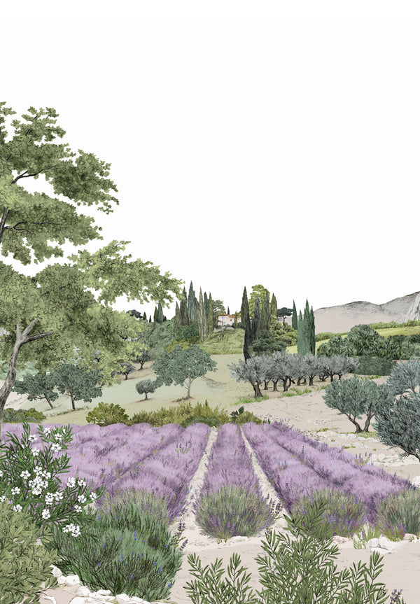 Provence Color Bespoke