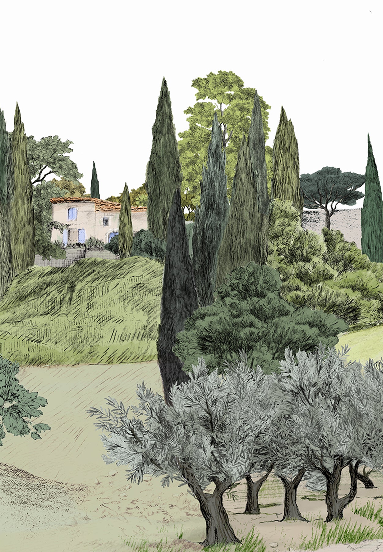 Provence Color