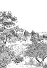 Provence Sur Mesure