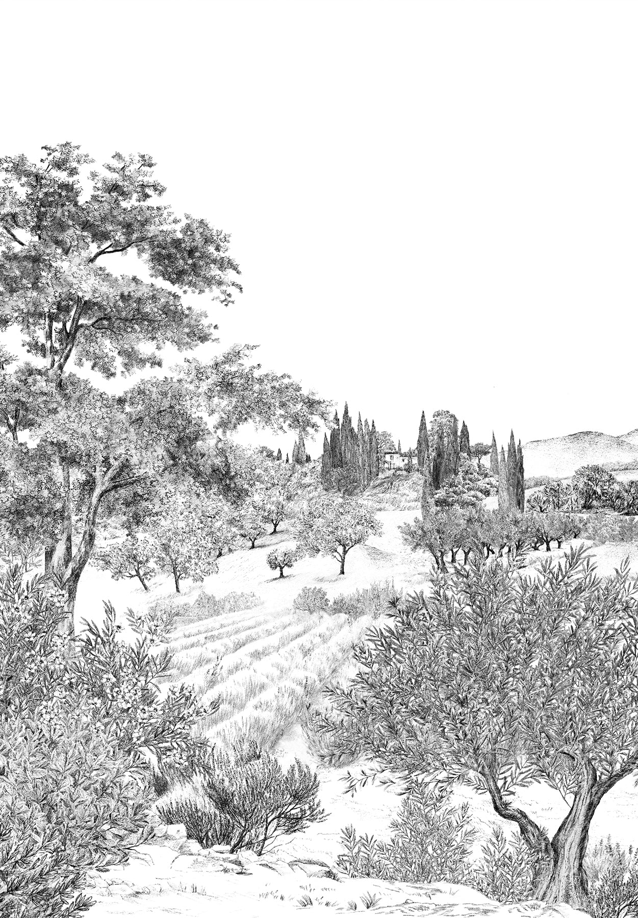 Provence Grisaille