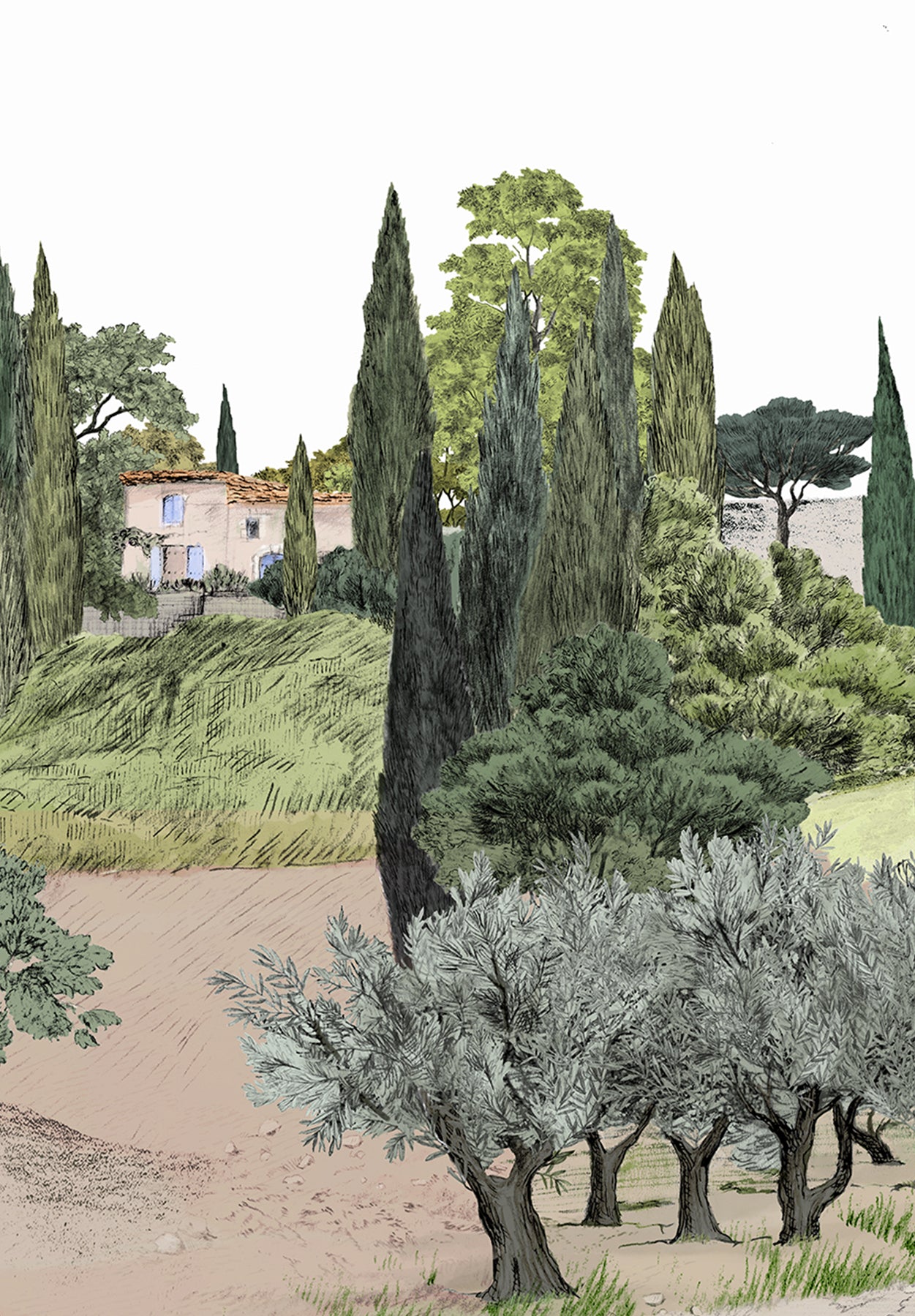 Provence Color