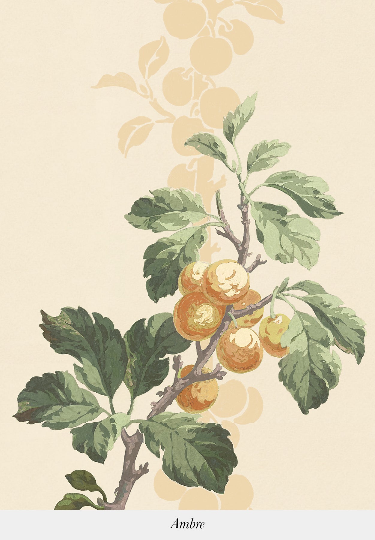 Prunus