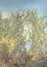 Cannes Provençales sur mesure