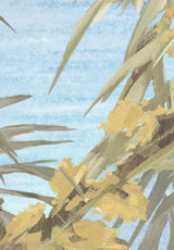 Cannes Provençales sur mesure