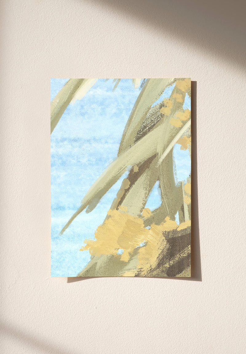 Arundo Donax Sample
