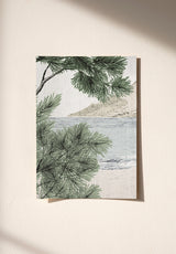 Dune Sample - Support Sisal