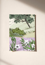 Provence Color Sample