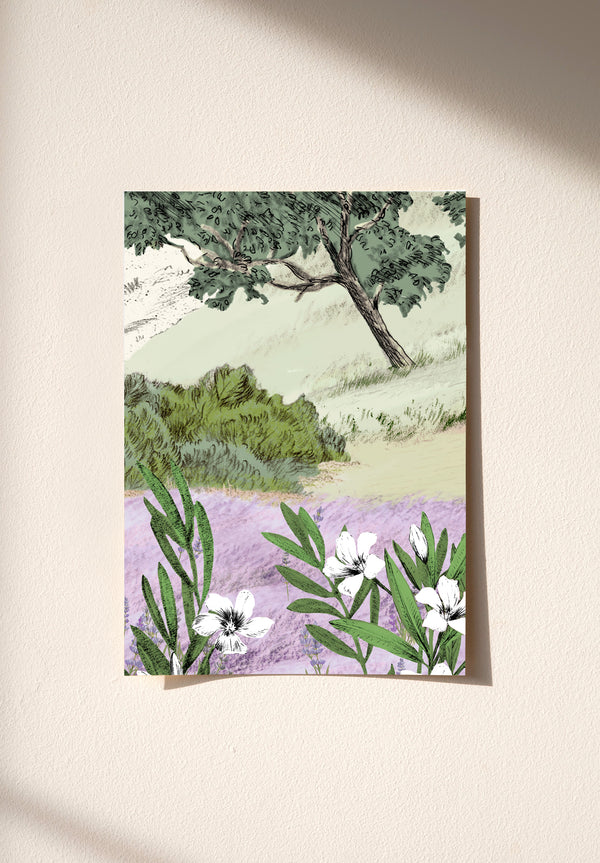 Provence Colorato campione