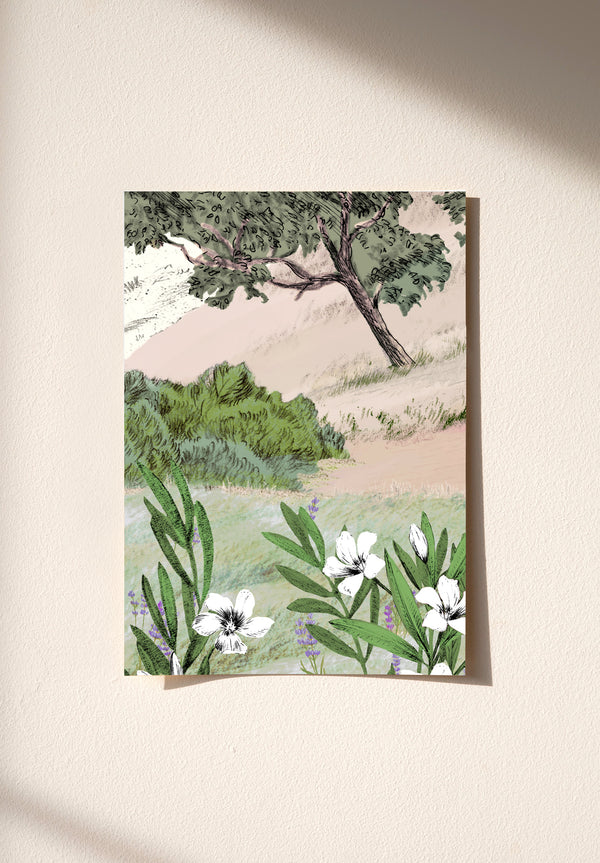 Provence Colorato campione