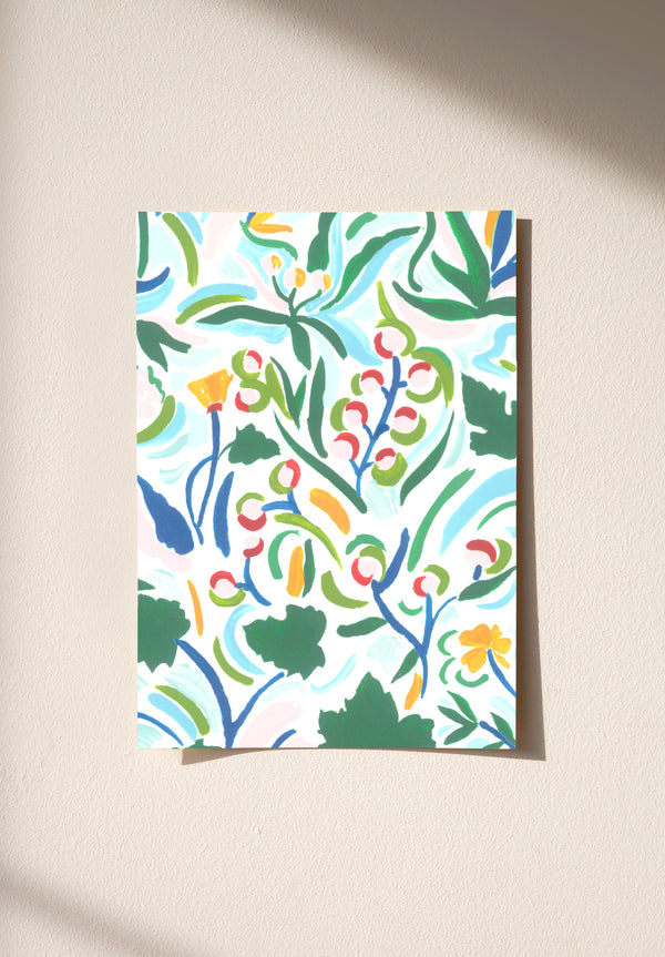 Summerfield campione