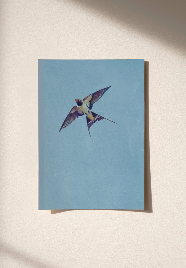 La Majestueuse | Ciel campione