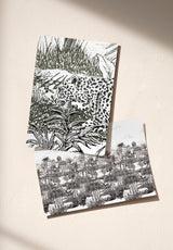 Amazone Panthère échantillon - MOCKUP_PACK_DUO_A4_OMBRE_AMAZONE_PANTHERE_GRIS