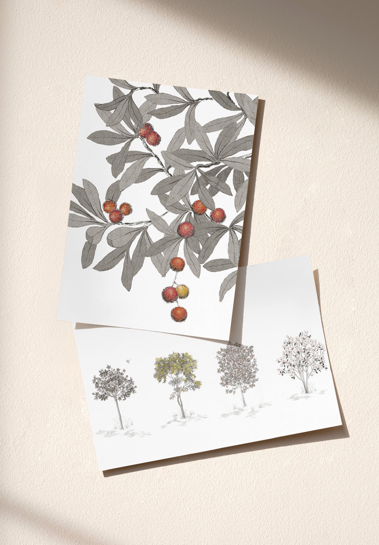 Arbustes échantillon - MOCKUP_PACK_DUO_A4_OMBRE_ARBUSTES_ARBOUSIER_GRIS
