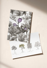 Arbustes échantillon - MOCKUP_PACK_DUO_A4_OMBRE_ARBUSTES_FIGUIER_GRIS