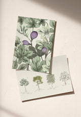Arbustes échantillon - MOCKUP_PACK_DUO_A4_OMBRE_ARBUSTES_FIGUIER_NATUREL