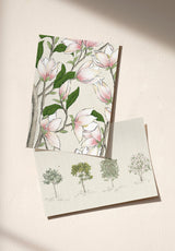 Arbustes échantillon - MOCKUP_PACK_DUO_A4_OMBRE_ARBUSTES_MAGNOLIA_NATUREL