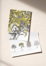 Arbustes échantillon - MOCKUP_PACK_DUO_A4_OMBRE_ARBUSTES_MIMOSA_GRIS