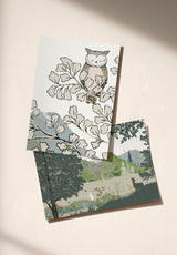 Coucou Hibou échantillon - MOCKUP_PACK_DUO_A4_OMBRE_COUCOU_HIBOU_MATIN