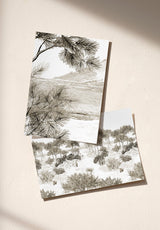 Dune échantillon - MOCKUP_PACK_DUO_A4_OMBRE_DUNE_SEPIA