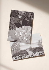 East Coast échantillon - MOCKUP_PACK_DUO_A4_OMBRE_EAST_COAST_GRIS