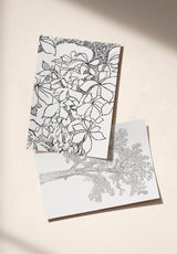 Le Grand Marronnier échantillon - MOCKUP_PACK_DUO_A4_OMBRE_LE_GRAND_MARRONNIER