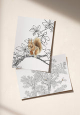 Le Grand Marronnier échantillon - MOCKUP_PACK_DUO_A4_OMBRE_LE_GRAND_MARRONNIER_ANIMAUX_COULEUR