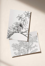 Le Grand Marronnier échantillon - MOCKUP_PACK_DUO_A4_OMBRE_LE_GRAND_MARRONNIER_ANIMAUX_GRISAILLE