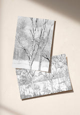 Nunavut échantillon - MOCKUP_PACK_DUO_A4_OMBRE_NUNAVUT_GRISAILLE