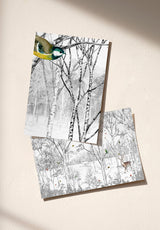Nunavut échantillon - MOCKUP_PACK_DUO_A4_OMBRE_NUNAVUT_NATUREL
