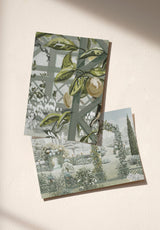 Paradis Perdu Échantillon - MOCKUP_PACK_DUO_A4_OMBRE_PARADIS_PERDU_VERDURE