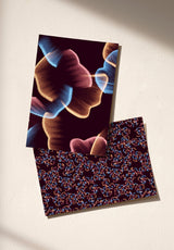 Printemps échantillon - MOCKUP_PACK_DUO_A4_OMBRE_PRINTEMPS_BORDEAUX