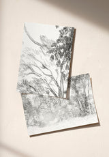 PROMENADE ÉCHANTILLON - MOCKUP_PACK_DUO_A4_OMBRE_PROMENADE_FUSAIN