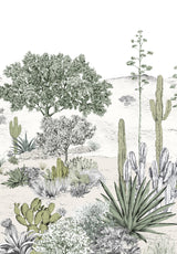 Succulentes - Mural a medida
