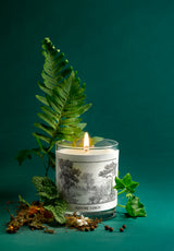 Candle Forêt de Bretagne