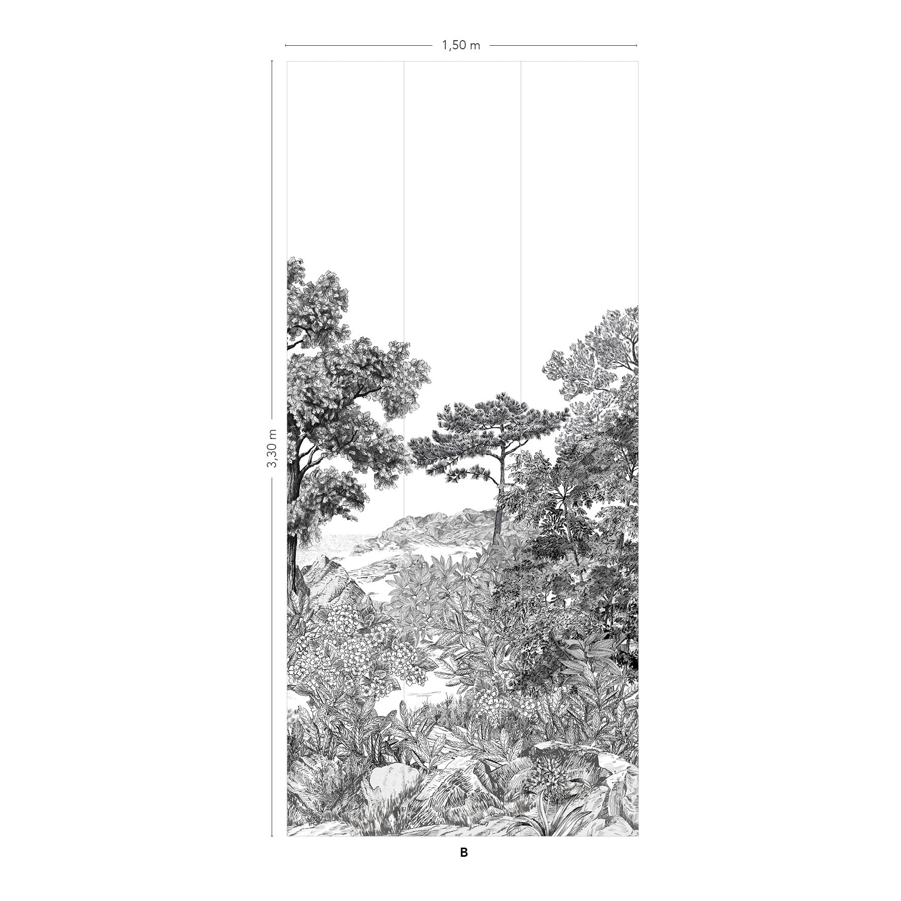 FORÊT DE BRETAGNE Grisaille