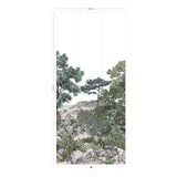 FORÊT DE BRETAGNE Naturel