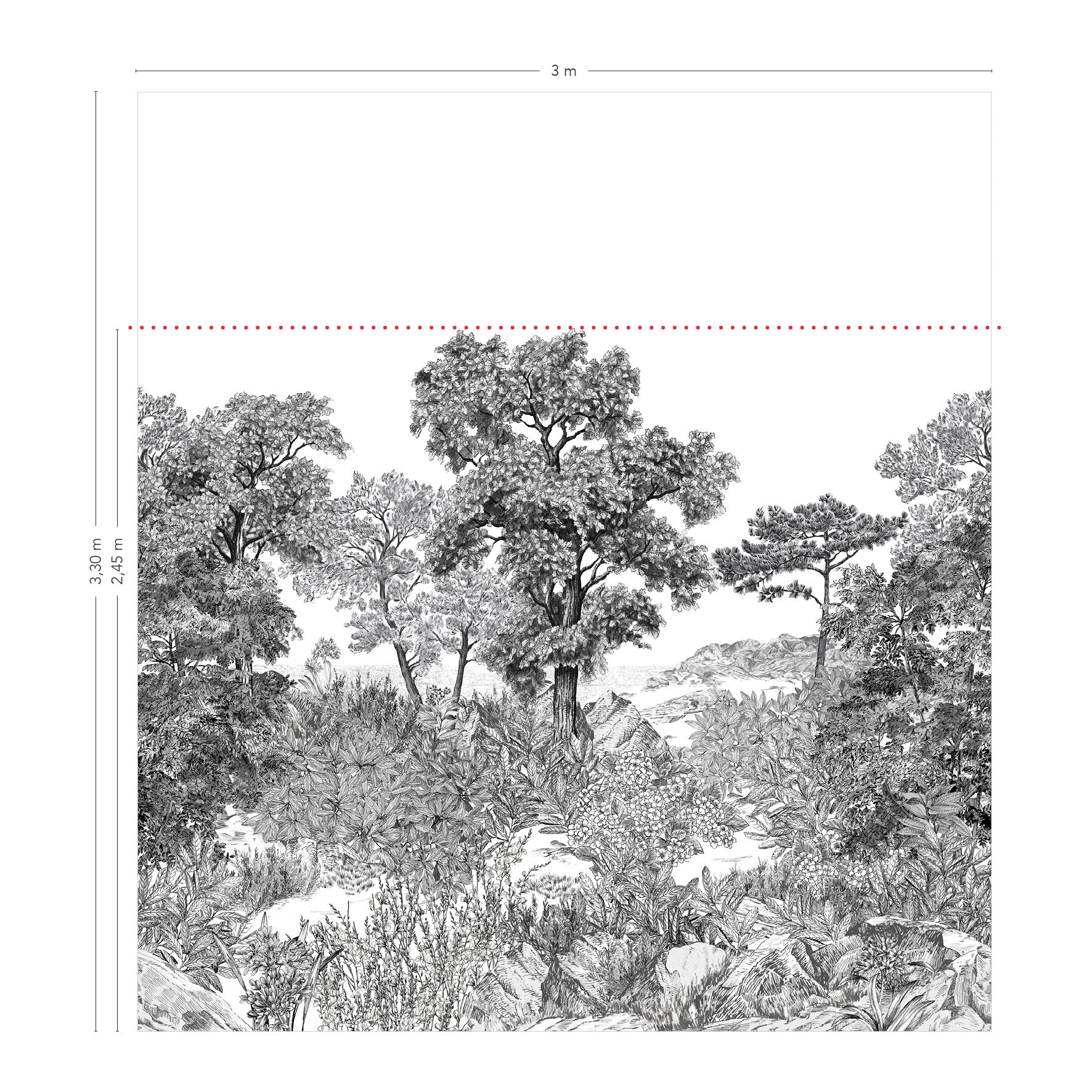 FORÊT DE BRETAGNE Grisaille