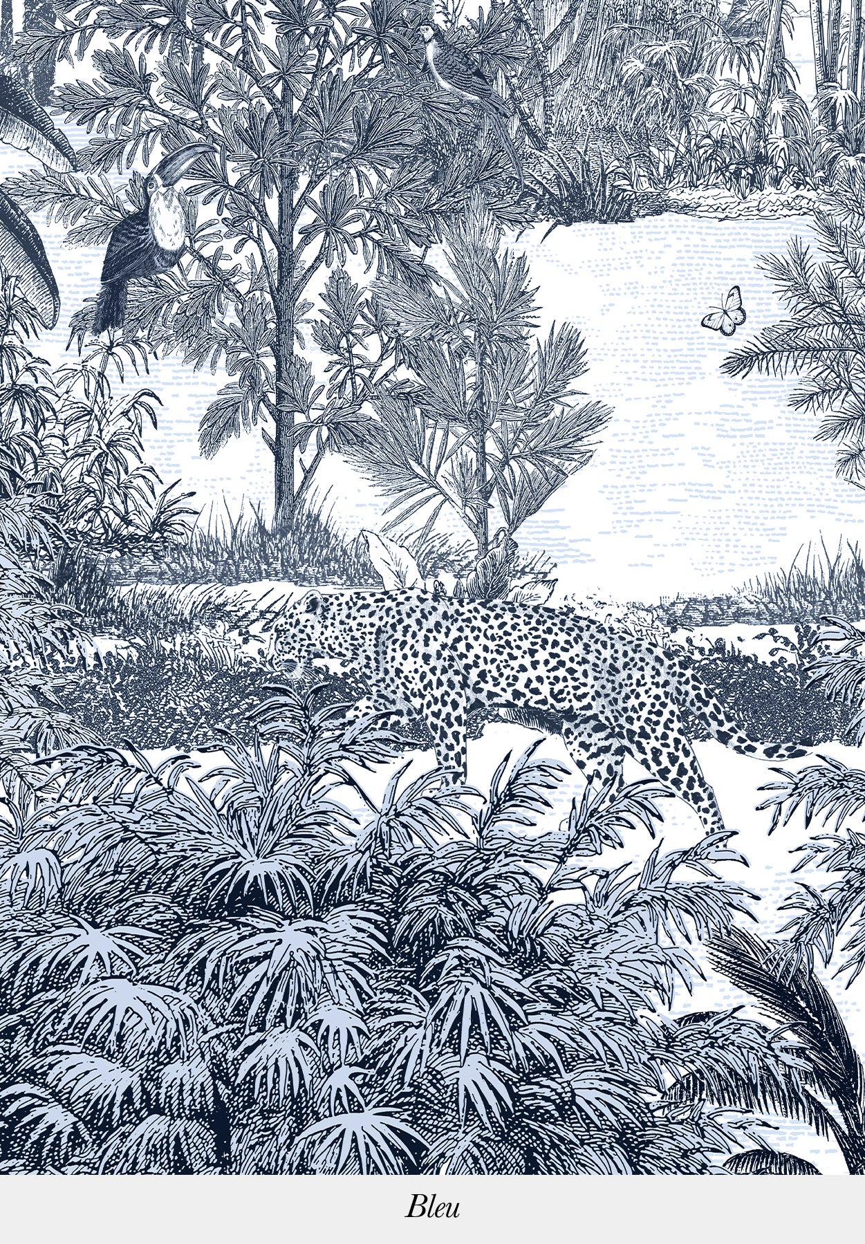 Amazone Panthère