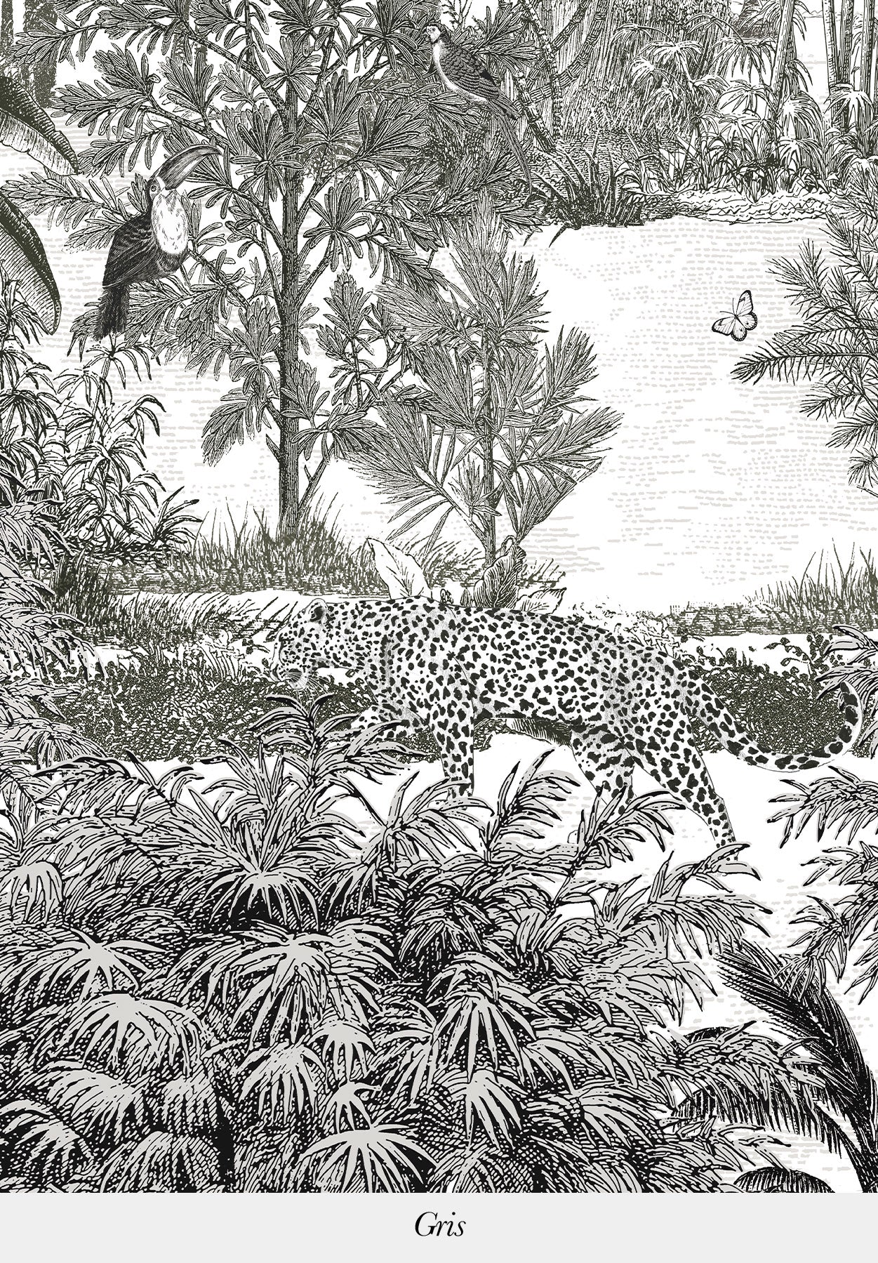Amazone Panthère