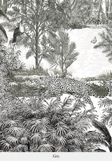 Amazone Panthère