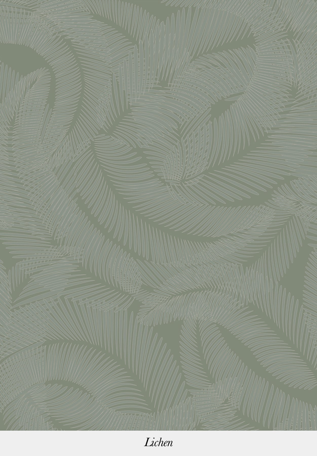 Plumes