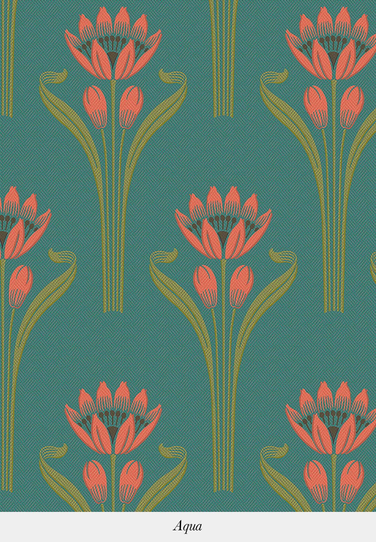 TULIPES