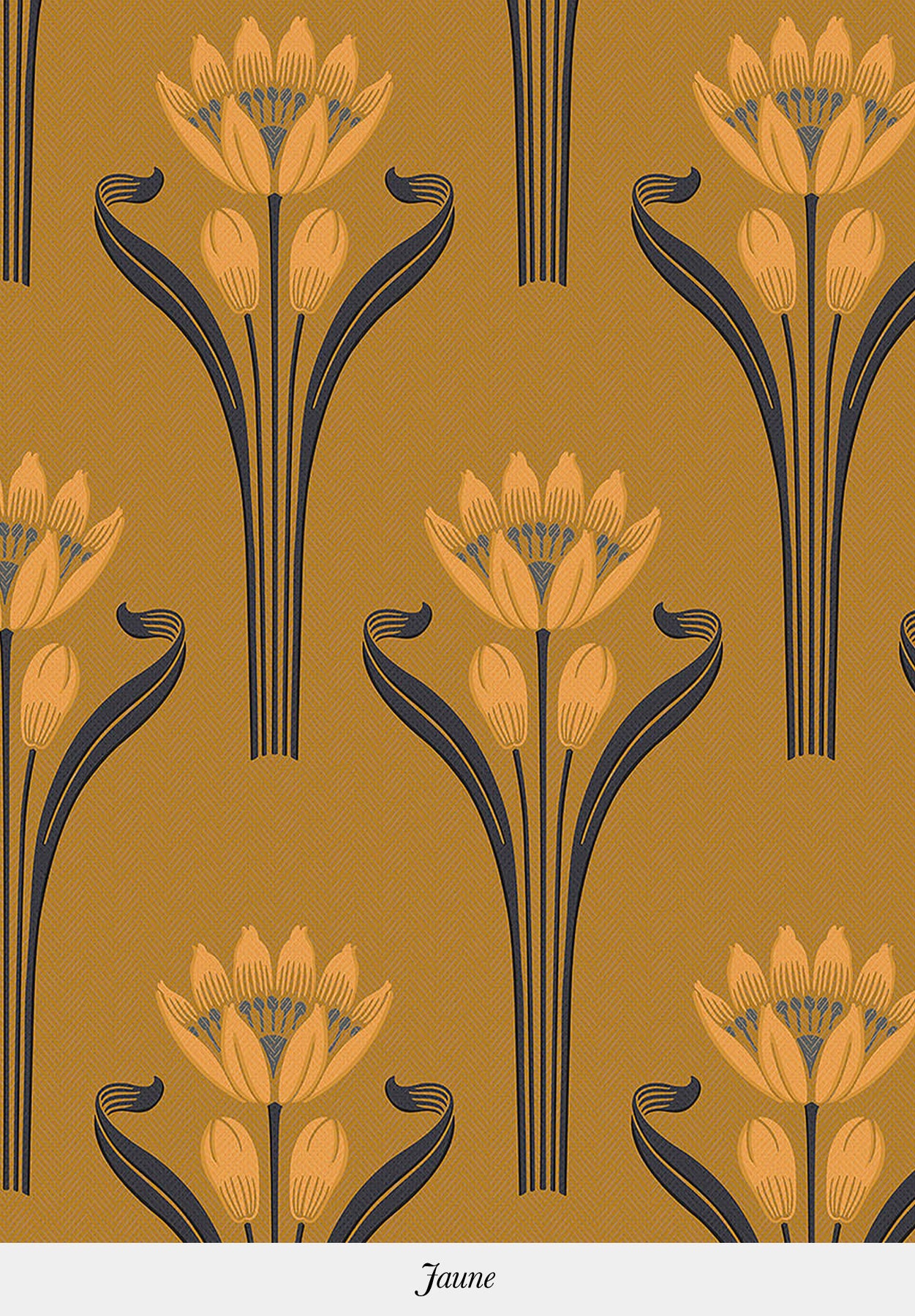 TULIPES
