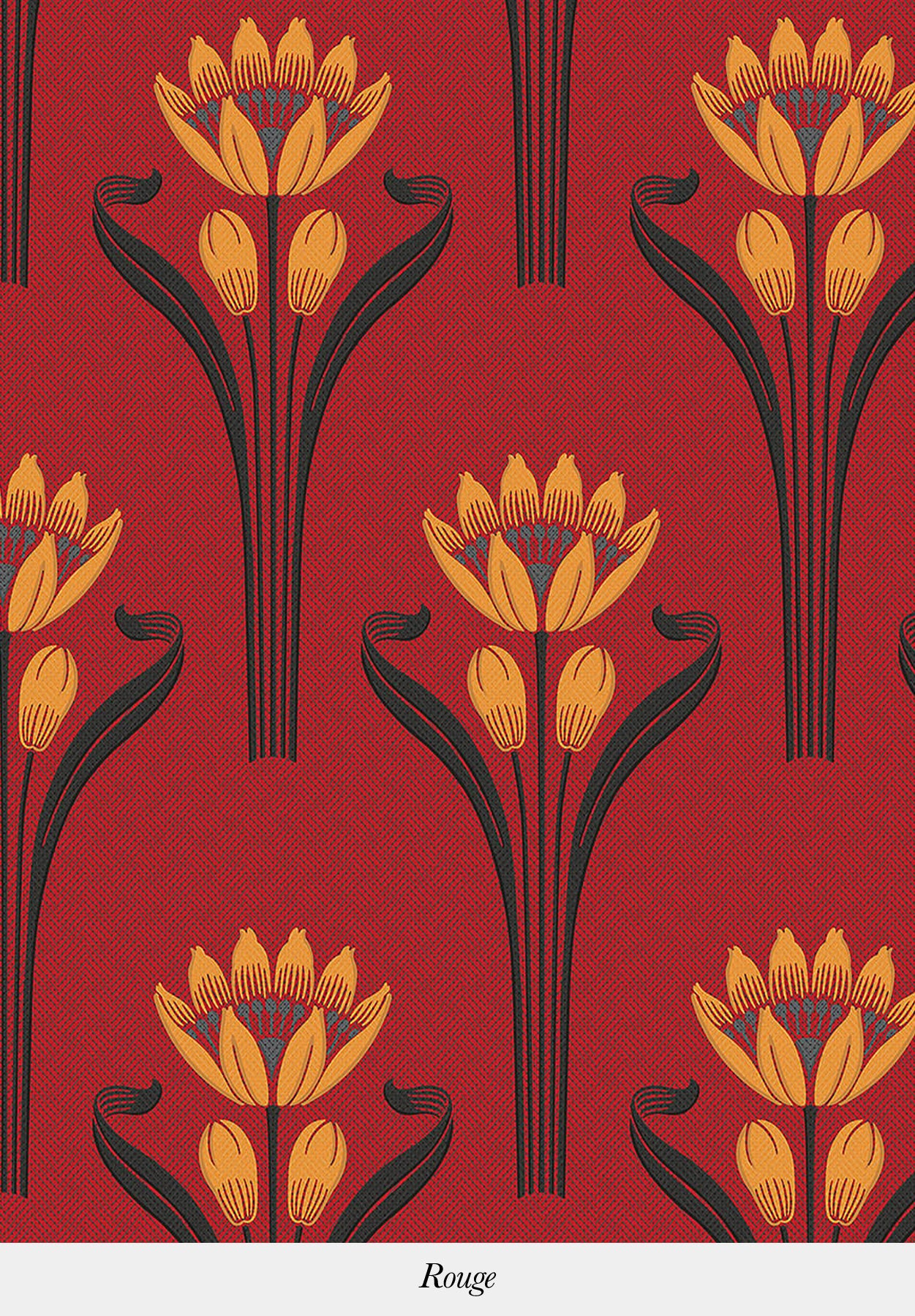 TULIPES