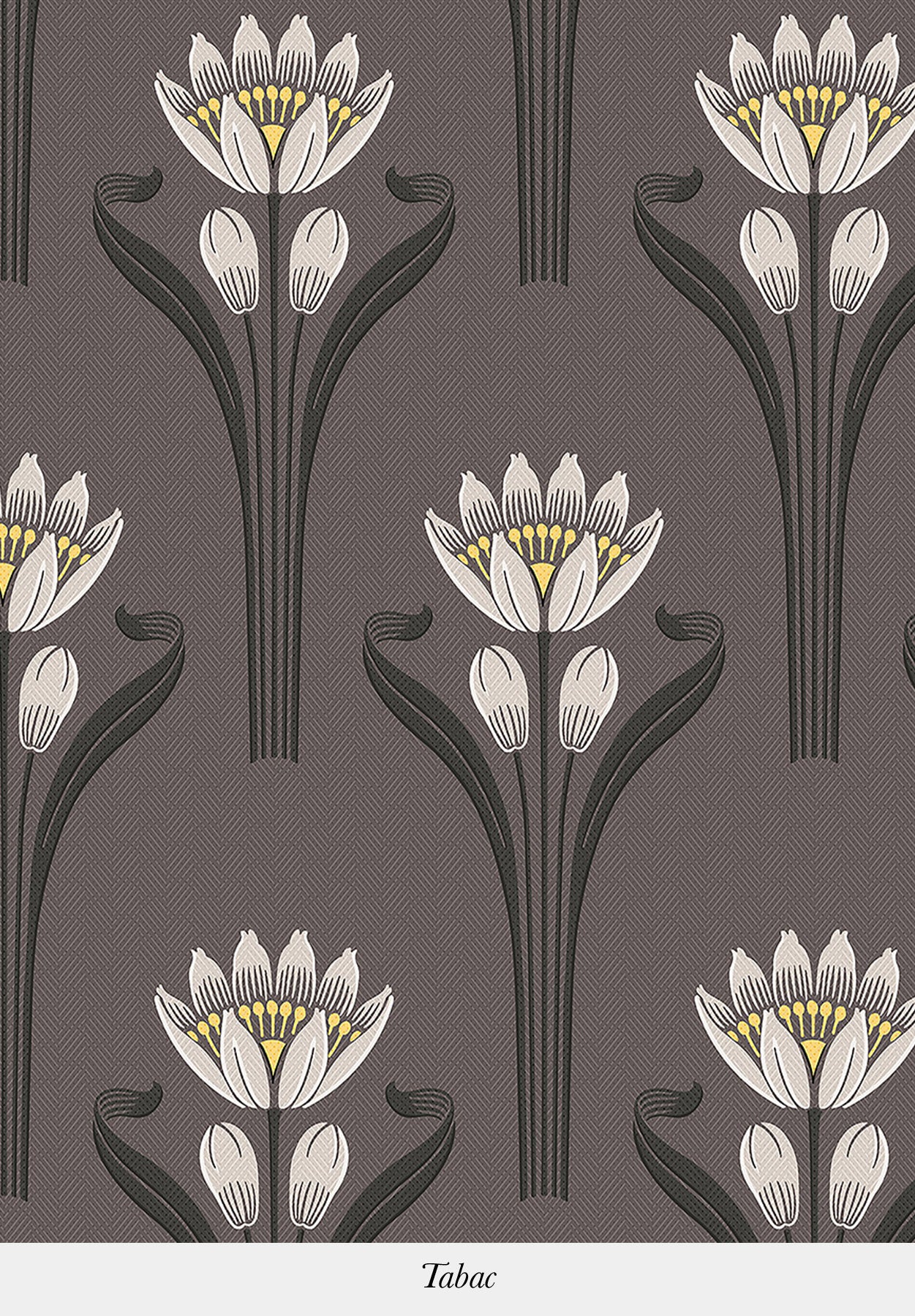 TULIPES