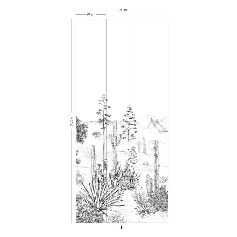 Papier peint Succulentes par Martine Dubreucq et Isabelle